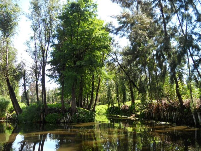 Xochimilco Canals