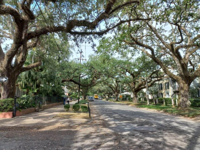 Garden District