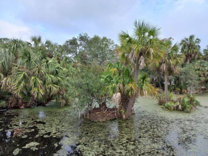 City Park, places in New Orleans