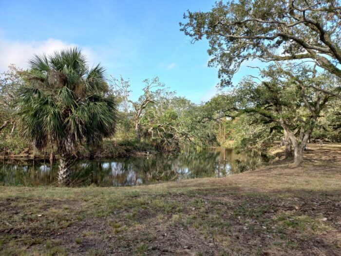 Audubon Park, places in New Orleans