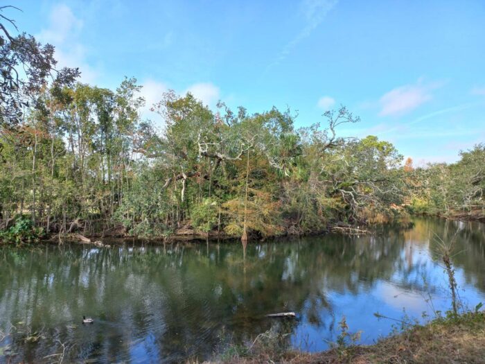 Audubon Park, places in New Orleans